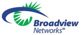 braodview networks